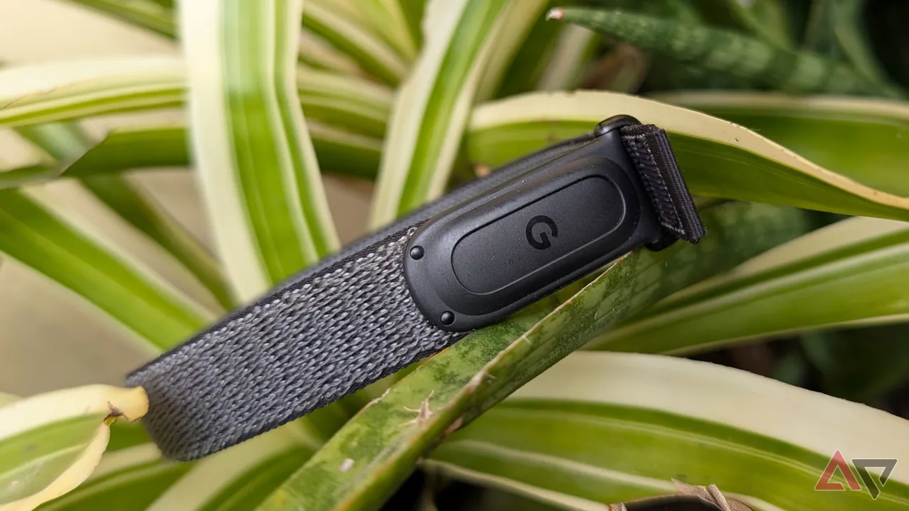 Google’ın yeni Fitbit’i, akıllı saat karmaşası olmadan ekran deneyimi sunabilir