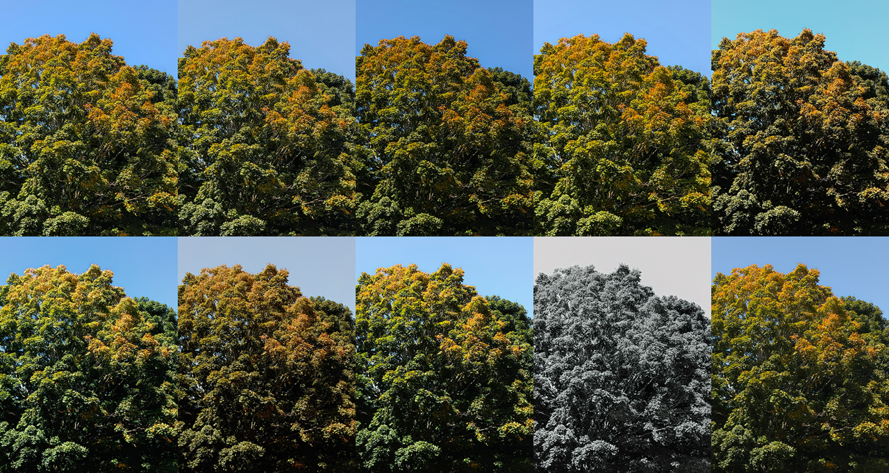 Pixel 11 Camera Looks hazır görünümleri