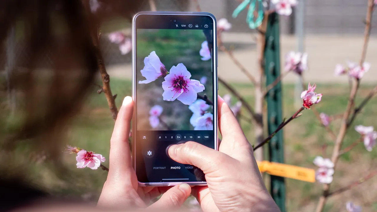 Samsung Galaxy S26 Ultra ile şeftali çiçekleri çekilmesi