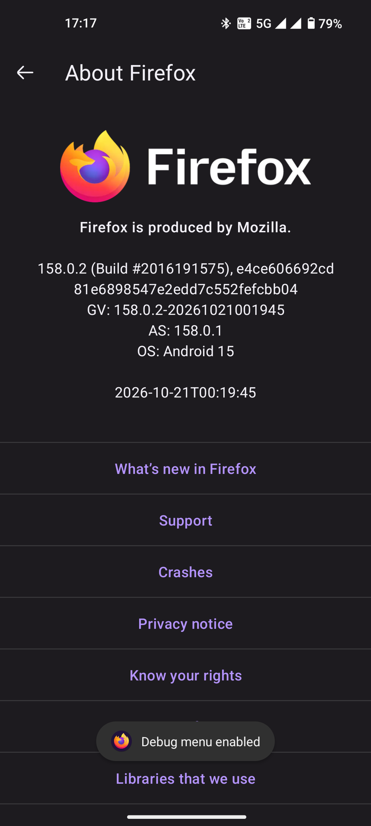 Firefox Secret Settings options menu interface (1)