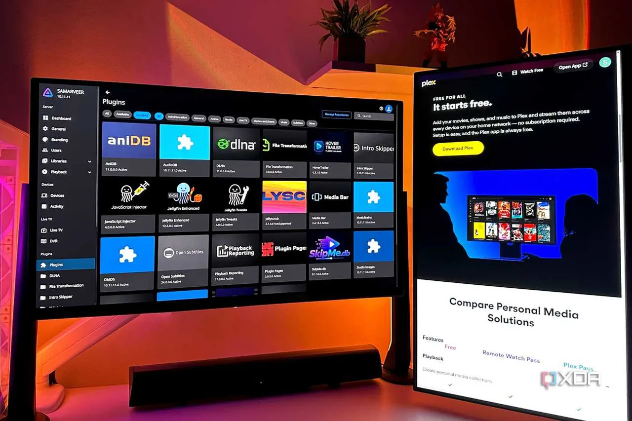 Çift monitörlü bilgisayar kurulumunda Jellyfin sunucu eklenti kitaplığı ve bir Plex reklamı.