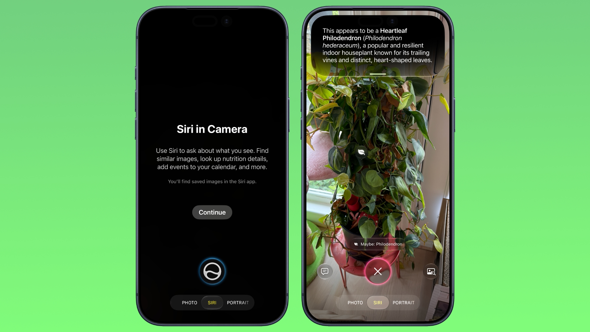 iOS 27'de Kamera Uygulamasında Görsel Zekâ Nasıl Kullanılır?